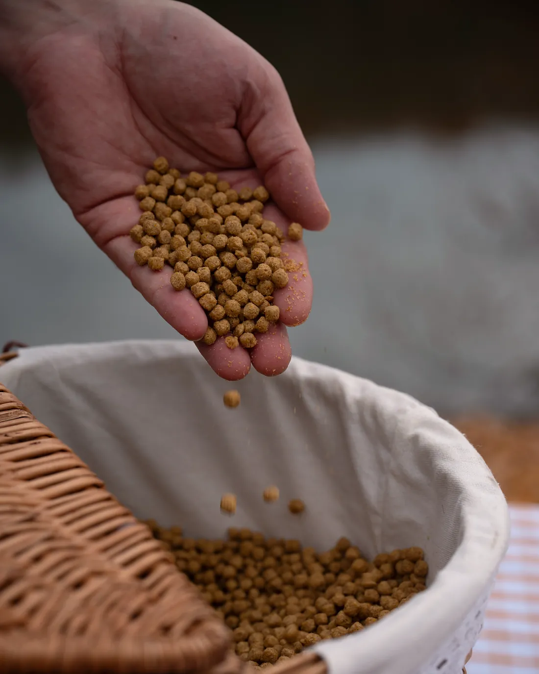 A hand pouring Duck Feeder pellets into a picnic basket lined with white cloth