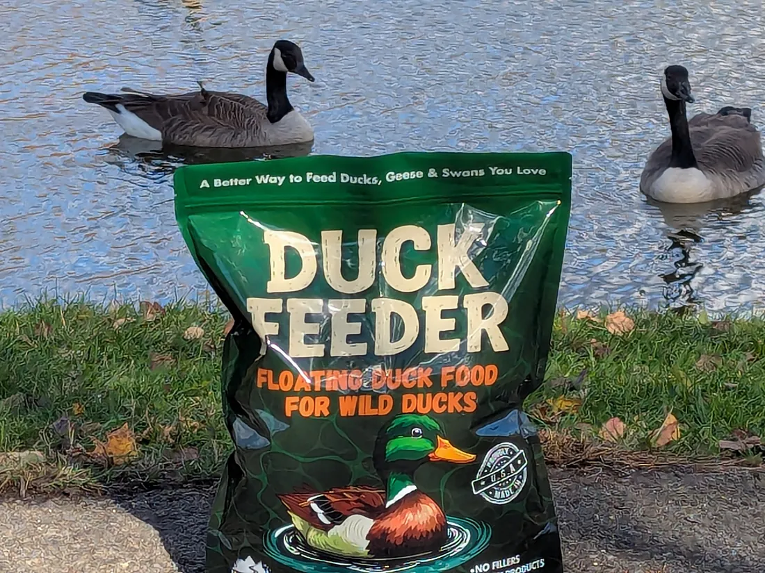 A bag of Duck Feeder on the grass by a pond with two Canada geese swimming behind it