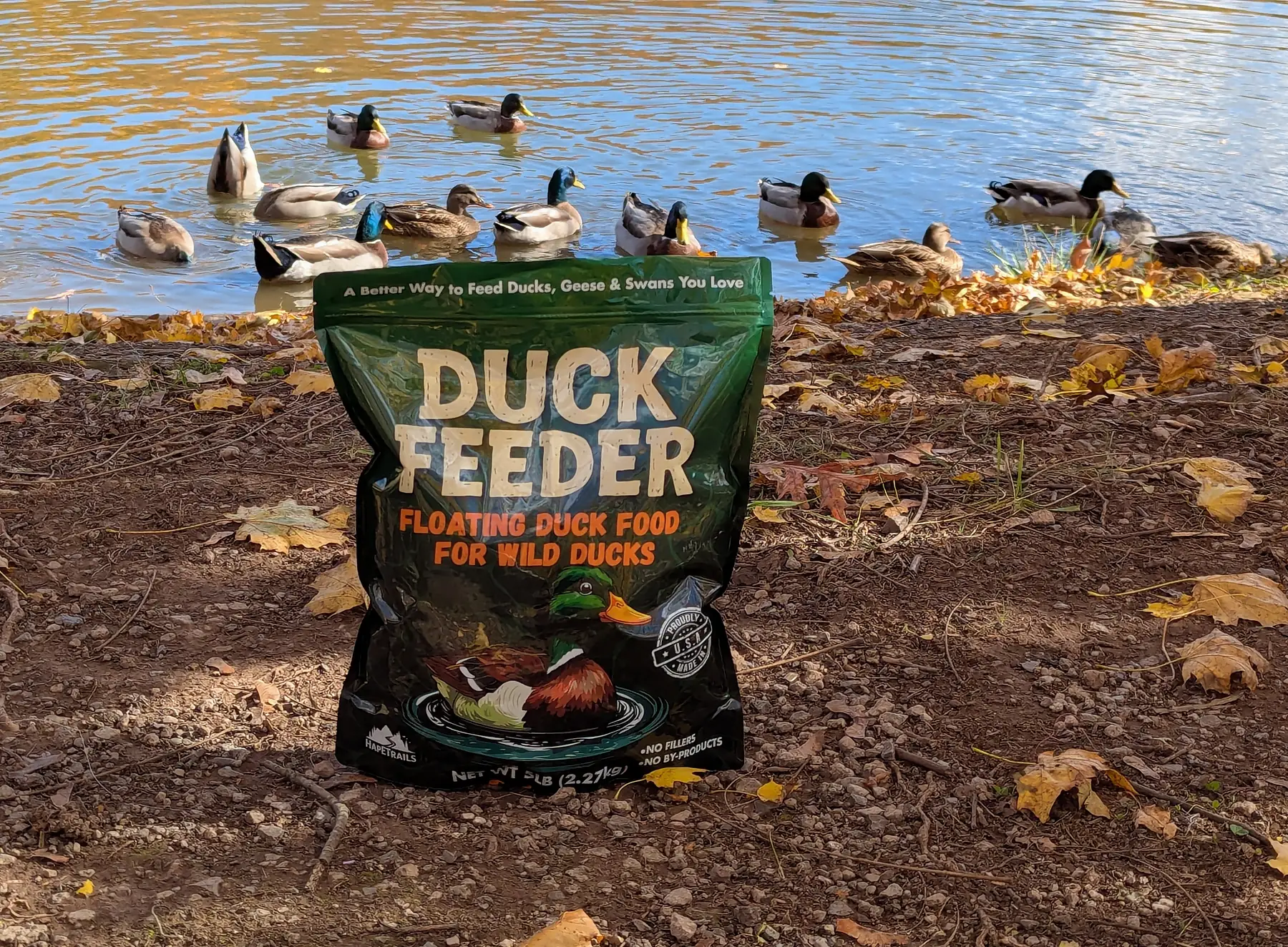 A bag of Duck Feeder on a fall pond shore with wild mallards swimming behind it