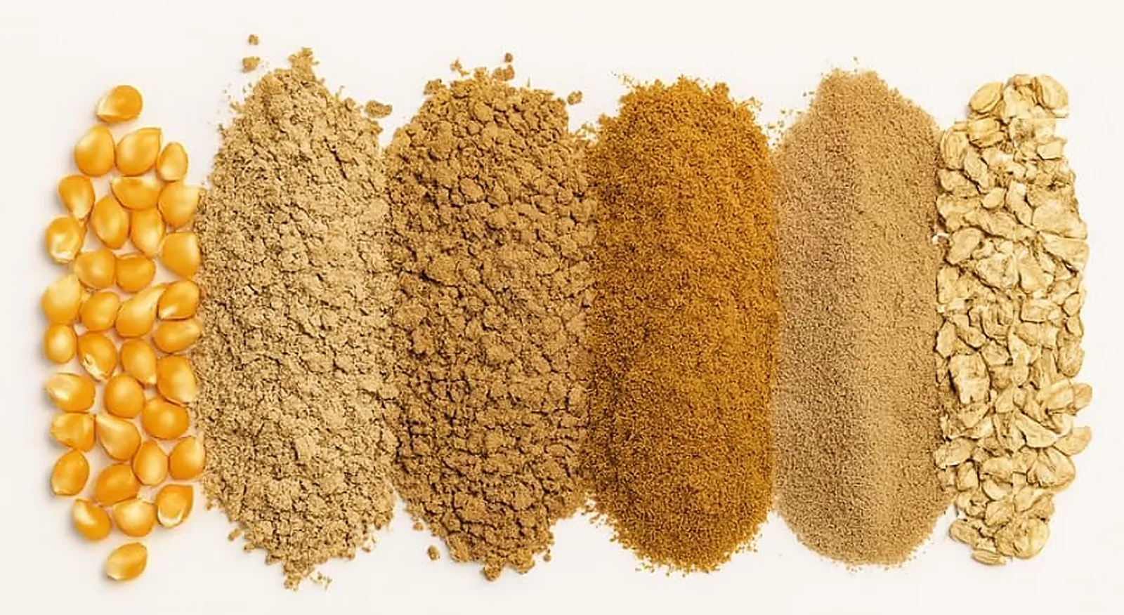 Six piles of ingredients side by side: corn, wheat, wheat middlings, soybean meal, fish meal and oats